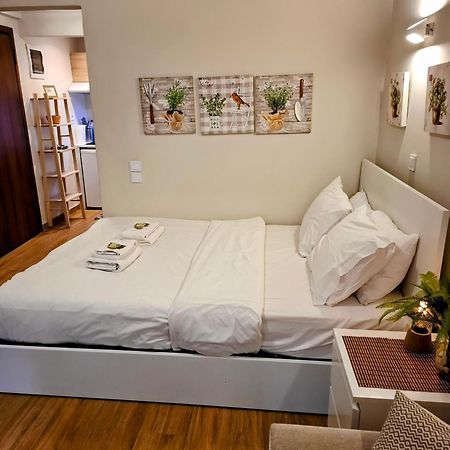 Studio Posh With Garden In Kolonaki Atenas Exterior foto